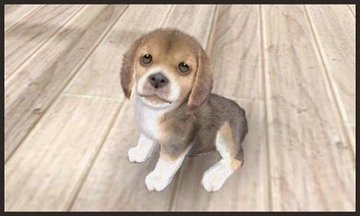 Nintendogs and Cats kaufen