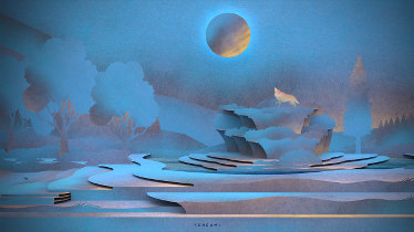 Tengami kaufen